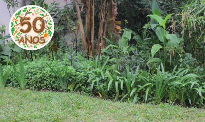 foto de um jardim e no canto esquerdo superior, o selo de 50 Anos da Escola Municipal de Jardinagem
