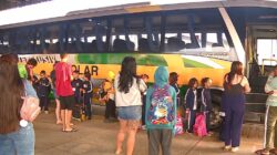Fotografia que mostra um grupo de adultos e crianças com mochilas nas costas. À frente do grupo, há um ônibus cinza e verde com uma faixa horizontal amarela com a escrita "escolar". As crianças estão em fila ao lado do ônibus e a porta do ônibus está aberta. É dia e o local é bem iluminado. Fim da descrição.