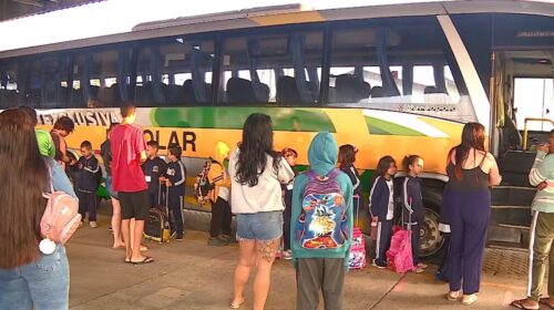 Fotografia que mostra um grupo de adultos e crianças com mochilas nas costas. À frente do grupo, há um ônibus cinza e verde com uma faixa horizontal amarela com a escrita "escolar". As crianças estão em fila ao lado do ônibus e a porta do ônibus está aberta. É dia e o local é bem iluminado. Fim da descrição.