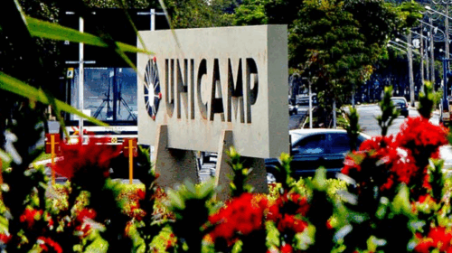 Fotografia que mostra placa com o logotipo da Unicamp. A fotografia é horizontal e foi tirada por uma perspectiva lateral. Em volta da placa, há flores vermelhas. É dia e há muita iluminação natural. Ao fundo, há árvores. Fim da descrição.