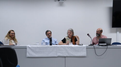 Fotografia que mostra quatro pessoas sentadas à mesa em uma sala. O ambiente é fechado e bem iluminado, a parede é branca e a mesa é comprida e branca, há jarra e copos de água, microfones, notebook, televisão e cadeiras na sala. Da esquerda para a direita: mulher branca com cabelo loiro, comprido e ondulado, veste blusa branca e blazer bege e usa óculos de grau; homem branco com cabelo grisalho, curto e liso, veste camisa azul quadriculada e usa óculos de grau; mulher branca com cabelo grisalho, curto e liso, veste blusa preta, marrom e branca e segura um microfone e homem branco calvo com barba grande e grisalha, veste camisa rosa. Fim da descrição.